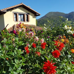Flores y fachada de la Casa