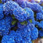 IMG_0673