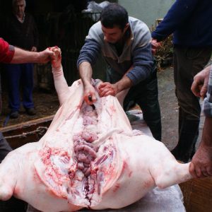 matanza del cerdo