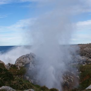 bufón en Guadamía