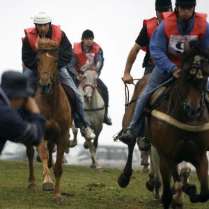 carrera de caballos