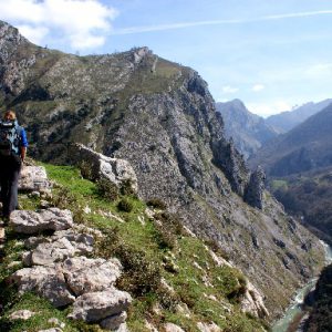 Camino en los Picos