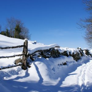 camino de Peloño