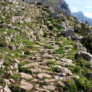camino empedrado