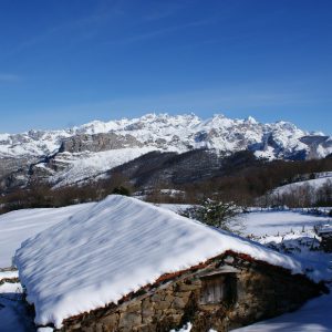 cuadra en les bedules