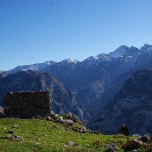 cabaña y naranjo de Bulnes al fondo