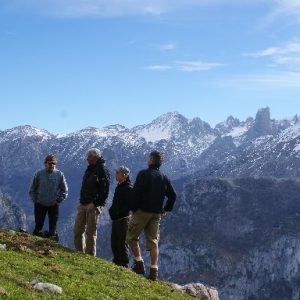 Vista de los Picos de Europa