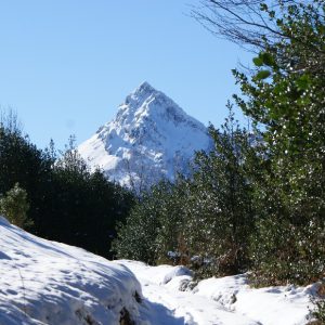 el jucantu