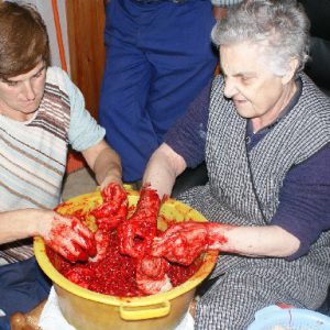 embutiendo morcilla
