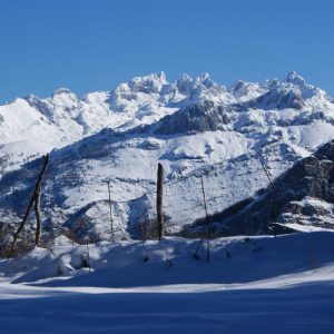 Picos de Europa