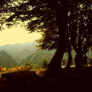 Mirador de los Porros