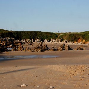 Playa de Toró