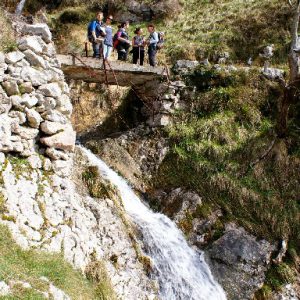 puente sobre la surgencia