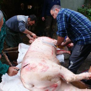 matanza del cerdo