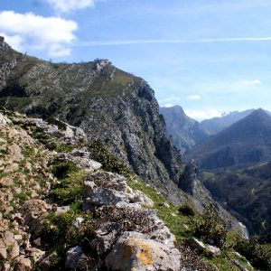 Camino sobre el río